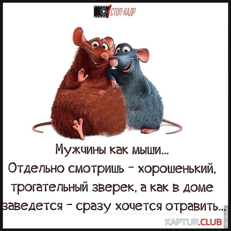 1677273630_1644844556_18-fikiwiki-com-p-yumor-v-kartinkakh-s-nadpisyu-19.jpg | Рено Каптур Клуб Россия | Форум KAPTUR.SU