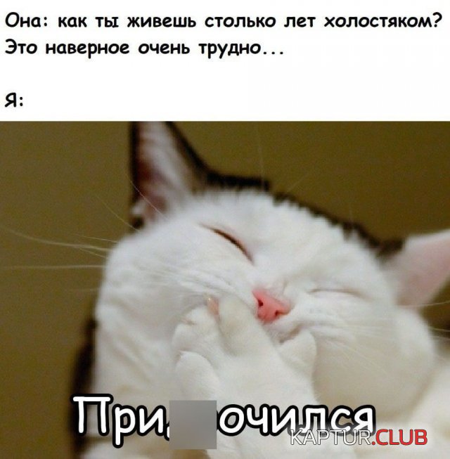 1677485024_235633_5_trinixy_ru.jpg | Рено Каптур Клуб Россия | Форум KAPTUR.SU