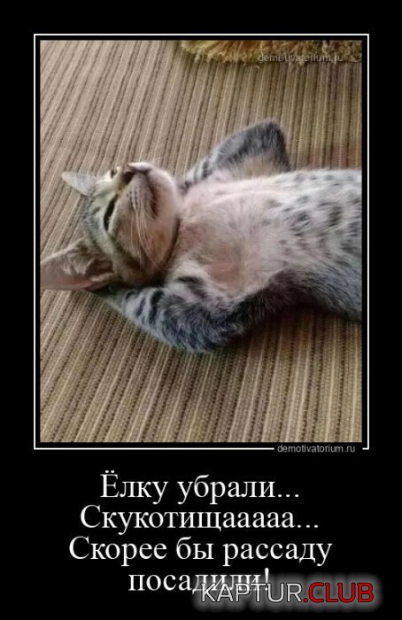 1677490242_demotivatory-2.jpg | Рено Каптур Клуб Россия | Форум KAPTUR.SU