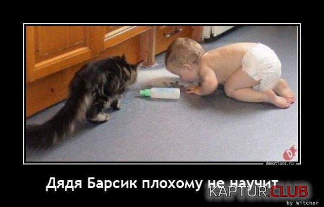 1677492112_1675068750_demy-1.jpg | Рено Каптур Клуб Россия | Форум KAPTUR.SU