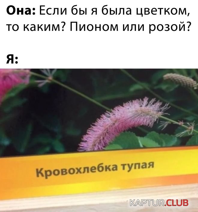 1678092177_30.jpg | Рено Каптур Клуб Россия | Форум KAPTUR.SU
