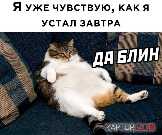 1679140242_1676964074_30.jpg | Рено Каптур Клуб Россия | Форум KAPTUR.SU