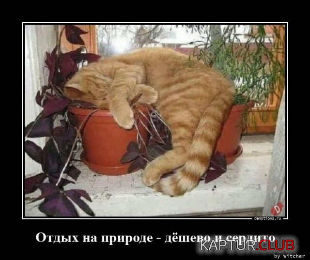 1679560176_1676967969_demki-1.jpg | Рено Каптур Клуб Россия | Форум KAPTUR.SU