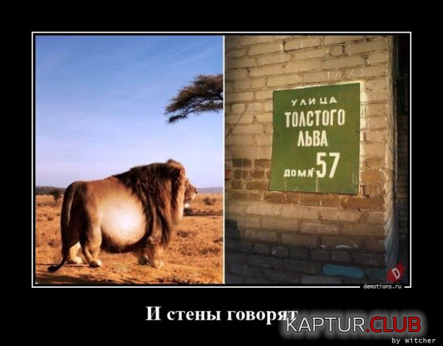 1679565812_1677052314_demki-10.jpg | Рено Каптур Клуб Россия | Форум KAPTUR.SU