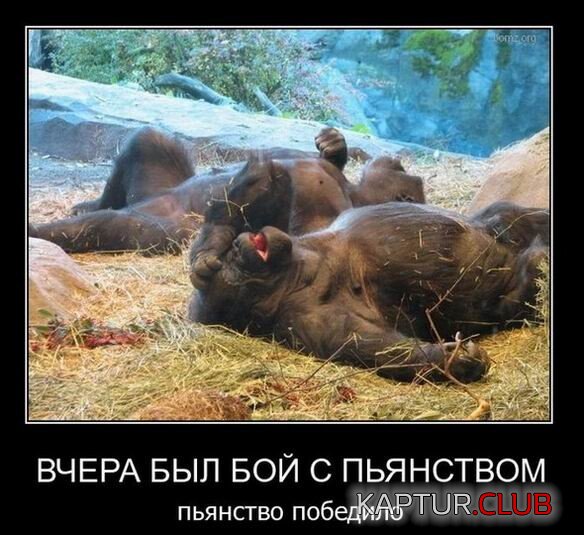 1679565848_1677052313_demki-7.jpg | Рено Каптур Клуб Россия | Форум KAPTUR.SU