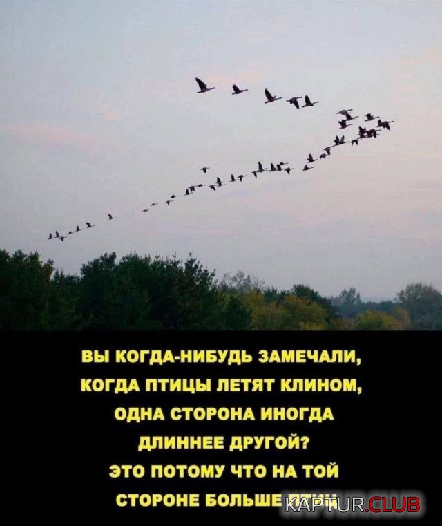 1679634187_236439_16_trinixy_ru.jpg | Рено Каптур Клуб Россия | Форум KAPTUR.SU
