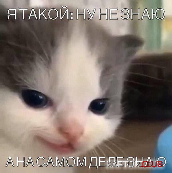 1679830046_236517_3_trinixy_ru.jpg | Рено Каптур Клуб Россия | Форум KAPTUR.SU