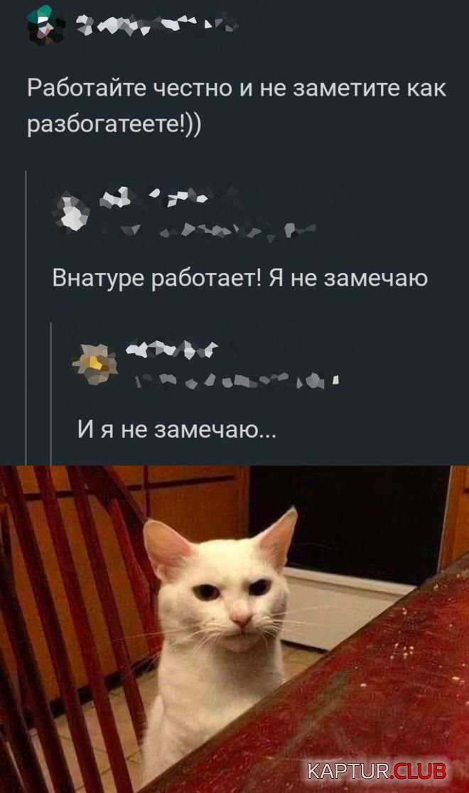 1679830599_1677748372_30.jpg | Рено Каптур Клуб Россия | Форум KAPTUR.SU