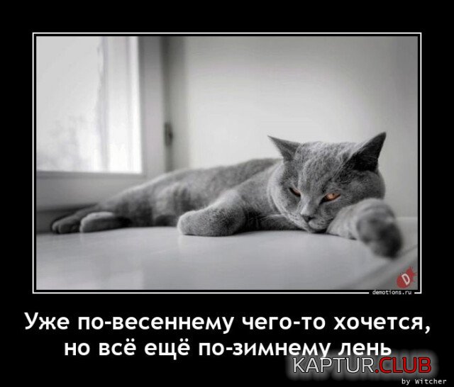 1679892021_1677483637_demotivatory-1.jpg | Рено Каптур Клуб Россия | Форум KAPTUR.SU