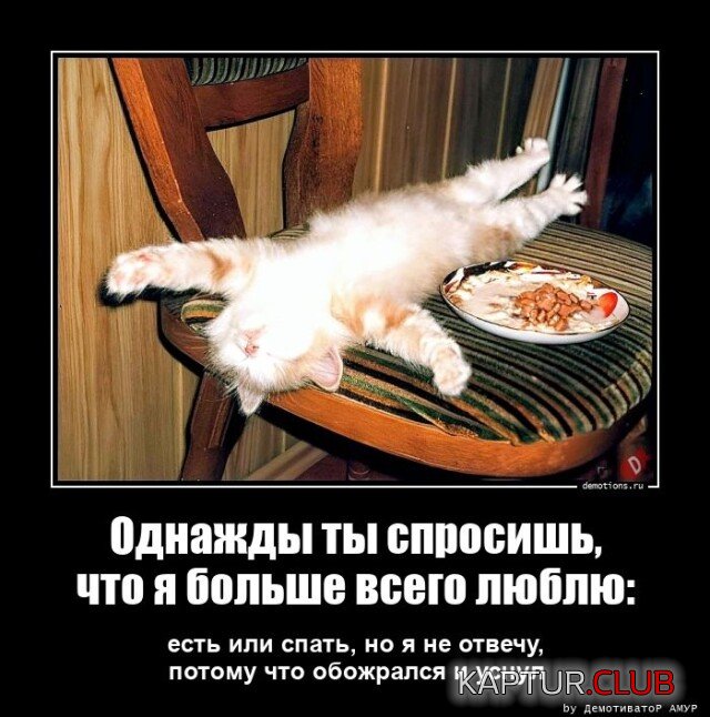 1679892053_1677483638_demotivatory-7.jpg | Рено Каптур Клуб Россия | Форум KAPTUR.SU