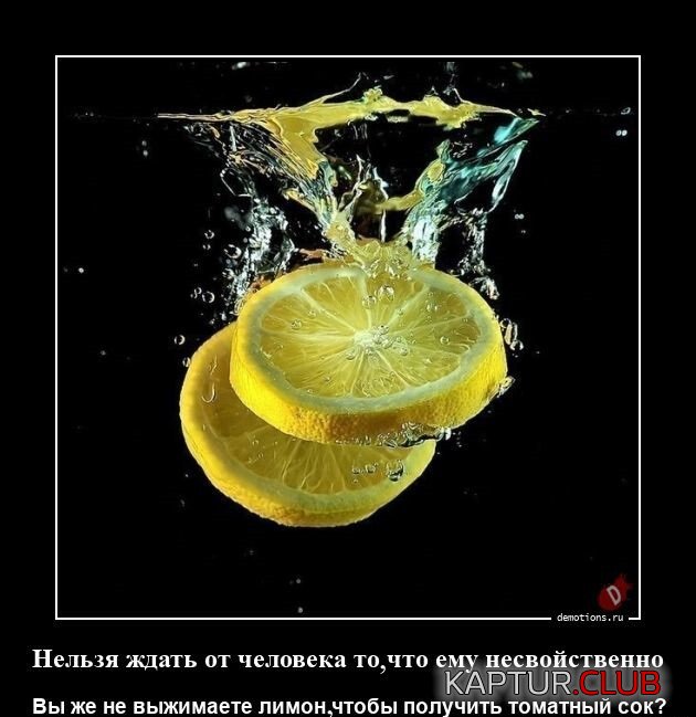 1681395763_1679472516_demotivatory-5.jpg | Рено Каптур Клуб Россия | Форум KAPTUR.SU