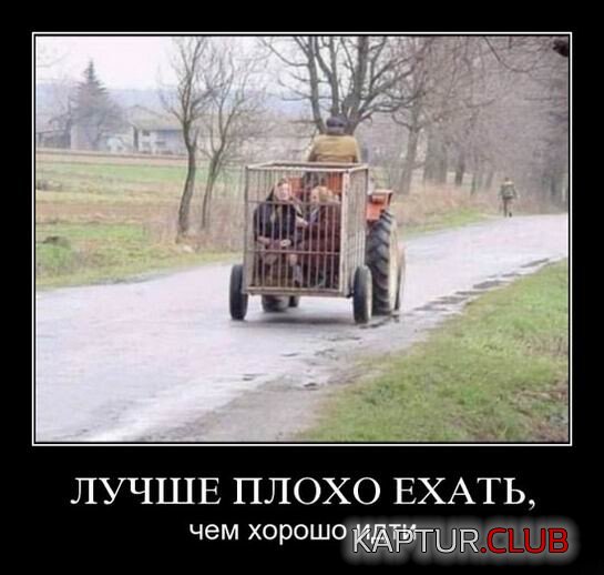 1681395816_1679472517_demotivatory-12.jpg | Рено Каптур Клуб Россия | Форум KAPTUR.SU
