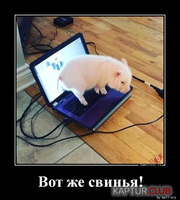 1682067990_32320403043-2.jpg | Рено Каптур Клуб Россия | Форум KAPTUR.SU