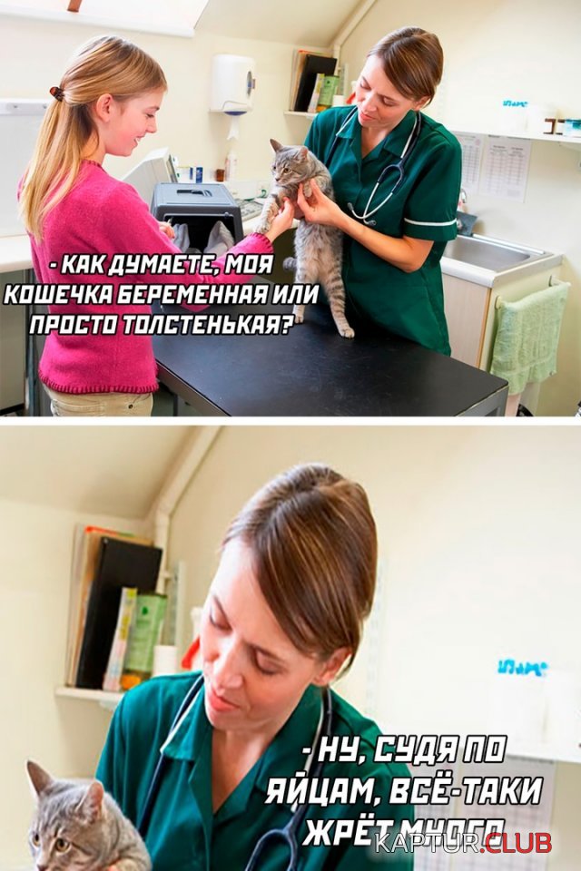 1682078875_237383_7_trinixy_ru.jpg | Рено Каптур Клуб Россия | Форум KAPTUR.SU