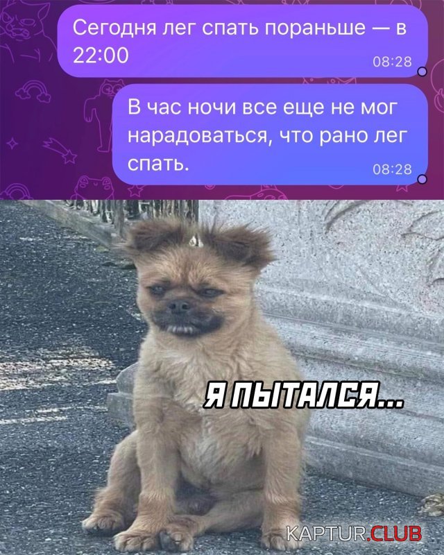 1682583242_237529_30_trinixy_ru.jpg | Рено Каптур Клуб Россия | Форум KAPTUR.SU