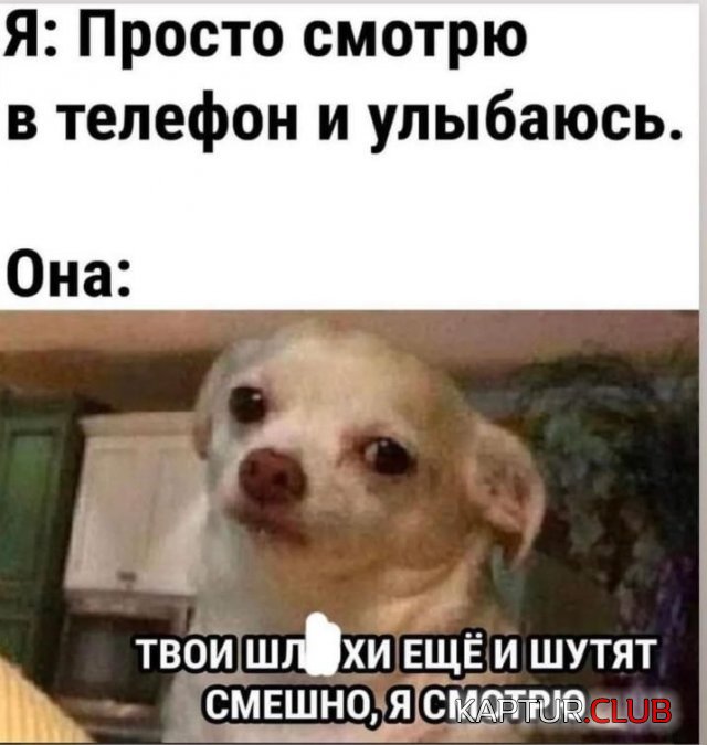 1682587666_237658_11_trinixy_ru.jpg | Рено Каптур Клуб Россия | Форум KAPTUR.SU