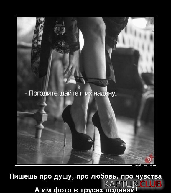 1682599728_1681112501_demotivatory-4.jpg | Рено Каптур Клуб Россия | Форум KAPTUR.SU