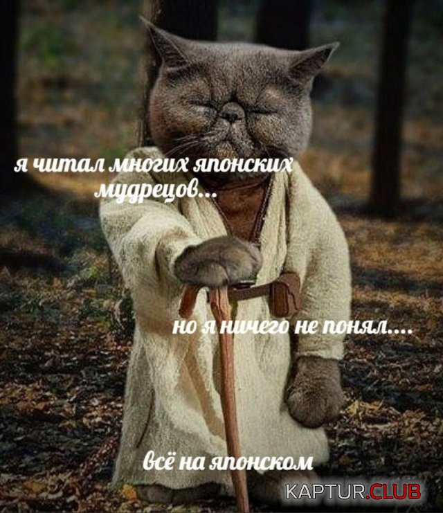 1683016852_237853_7_trinixy_ru.jpg | Рено Каптур Клуб Россия | Форум KAPTUR.SU
