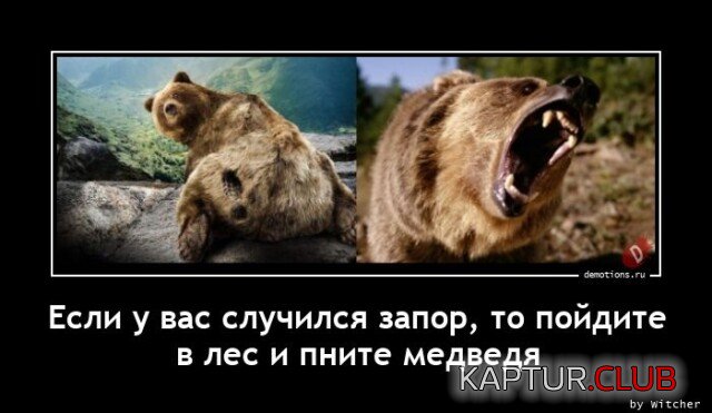 1683092119_demy-3.jpg | Рено Каптур Клуб Россия | Форум KAPTUR.SU
