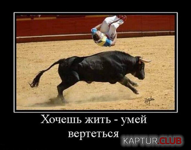 1683092331_1681975849_demy-6.jpg | Рено Каптур Клуб Россия | Форум KAPTUR.SU