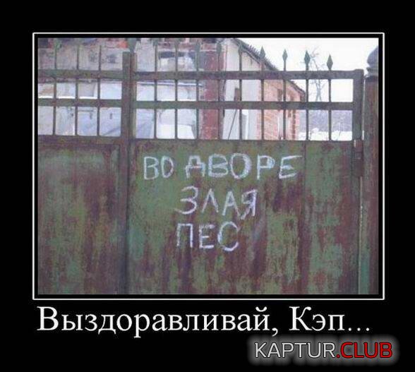 1683092348_1681975849_demy-1.jpg | Рено Каптур Клуб Россия | Форум KAPTUR.SU