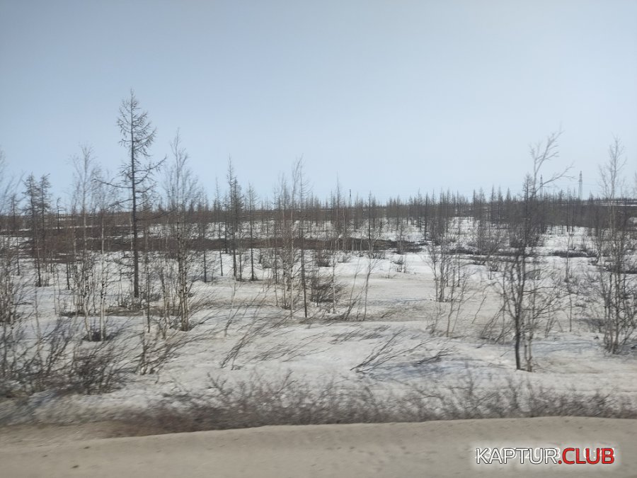 1684852201996.jpg | Рено Каптур Клуб Россия | Форум KAPTUR.SU