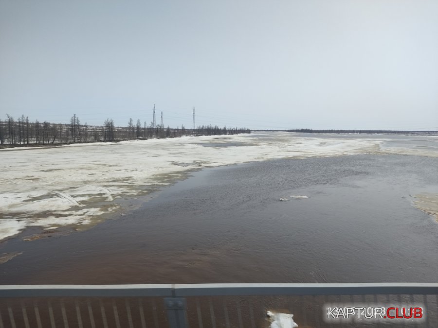 1684852202012.jpg | Рено Каптур Клуб Россия | Форум KAPTUR.SU