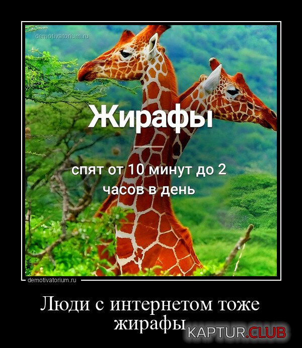 1684917346_1682581573_demotivatory-12.jpg | Рено Каптур Клуб Россия | Форум KAPTUR.SU