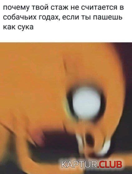1684925844_238147_15_trinixy_ru.jpg | Рено Каптур Клуб Россия | Форум KAPTUR.SU