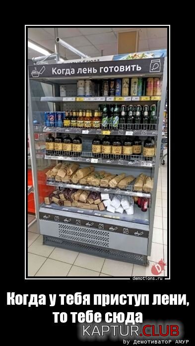 1685437601_demotivatory-3.jpg | Рено Каптур Клуб Россия | Форум KAPTUR.SU