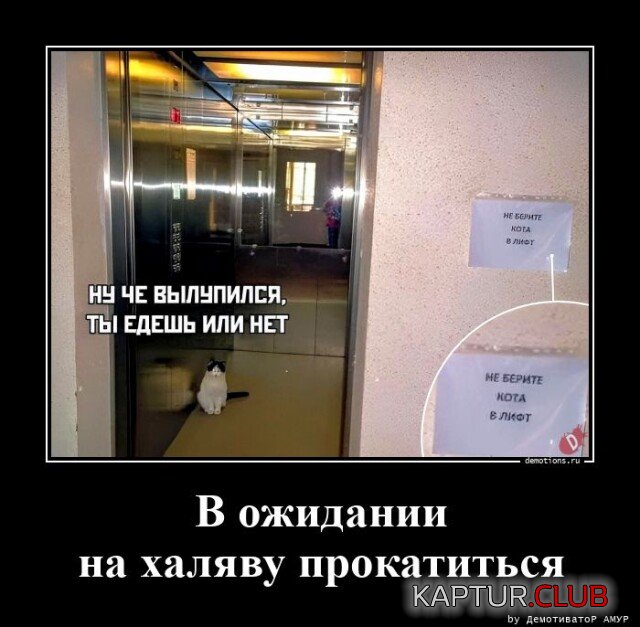 1685437652_1683099736_demotivatory-2.jpg | Рено Каптур Клуб Россия | Форум KAPTUR.SU