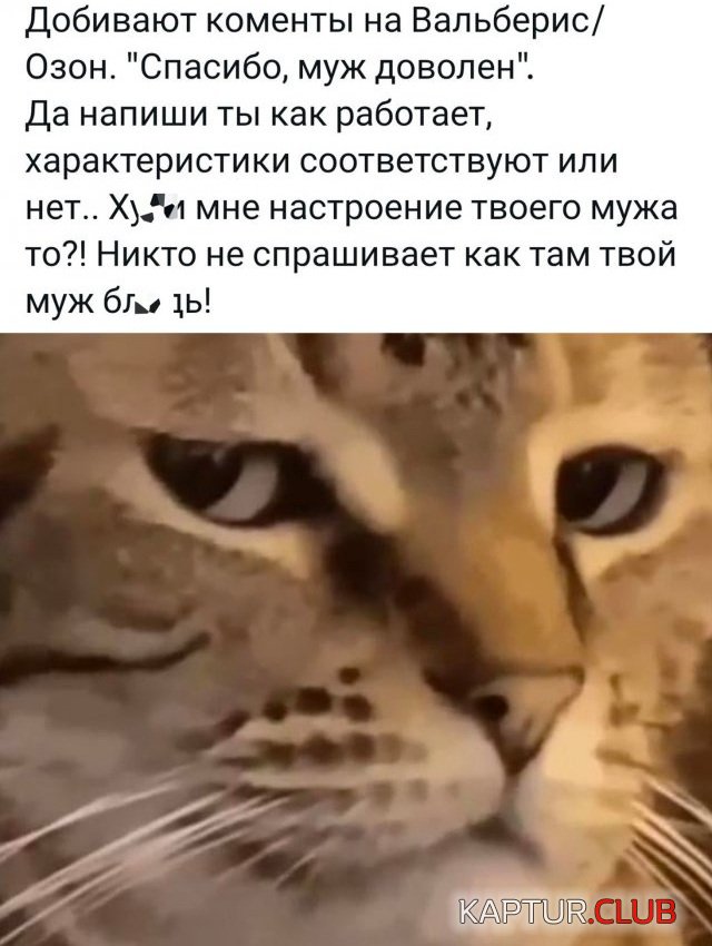 1685447168_238405_29_trinixy_ru.jpg | Рено Каптур Клуб Россия | Форум KAPTUR.SU