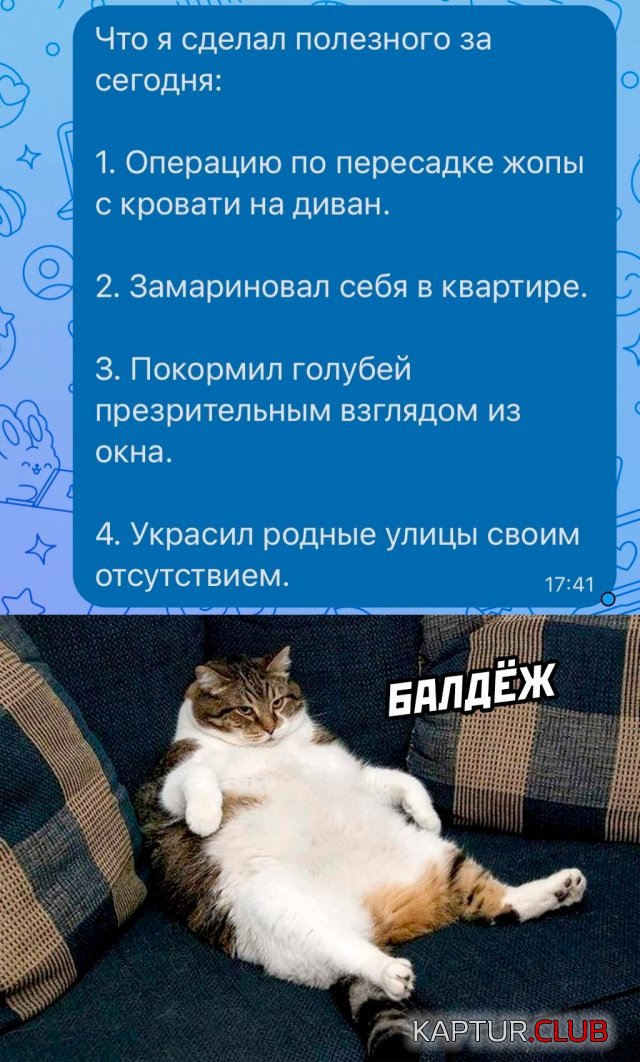 1686213030_238593_26_trinixy_ru.jpg | Рено Каптур Клуб Россия | Форум KAPTUR.SU