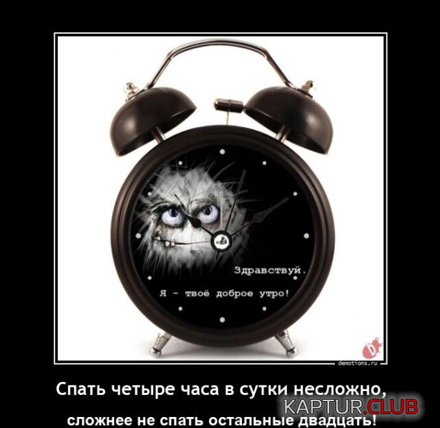 1686907651_1684999360_demki-1.jpg | Рено Каптур Клуб Россия | Форум KAPTUR.SU