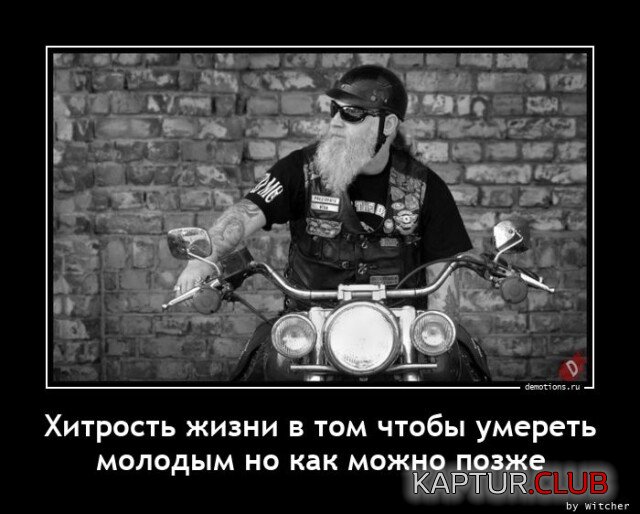 1687333884_1685516393_demotivatory-4.jpg | Рено Каптур Клуб Россия | Форум KAPTUR.SU