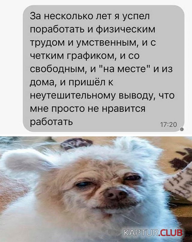 1687775732_239371_28_trinixy_ru.jpg | Рено Каптур Клуб Россия | Форум KAPTUR.SU