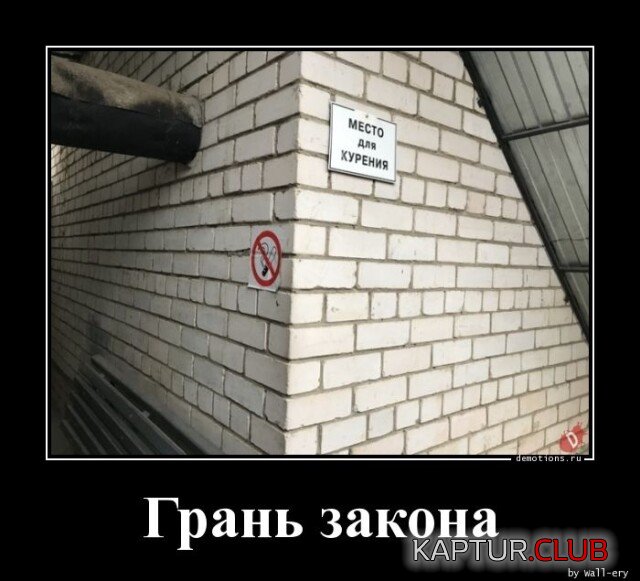 1688634227_1686813436_demki-5.jpg | Рено Каптур Клуб Россия | Форум KAPTUR.SU