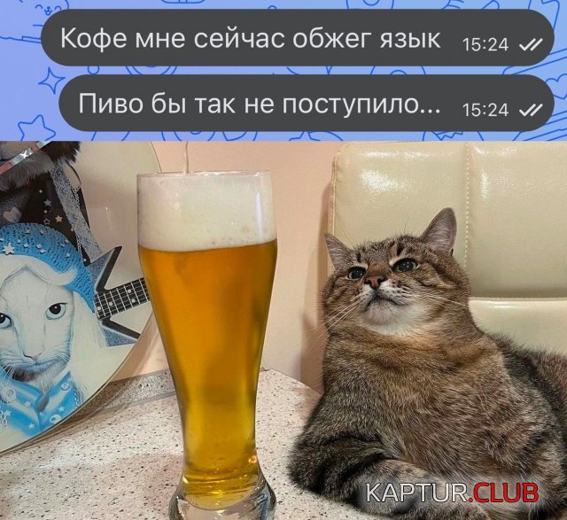 1689064924_239610_2_trinixy_ru.jpg | Рено Каптур Клуб Россия | Форум KAPTUR.SU