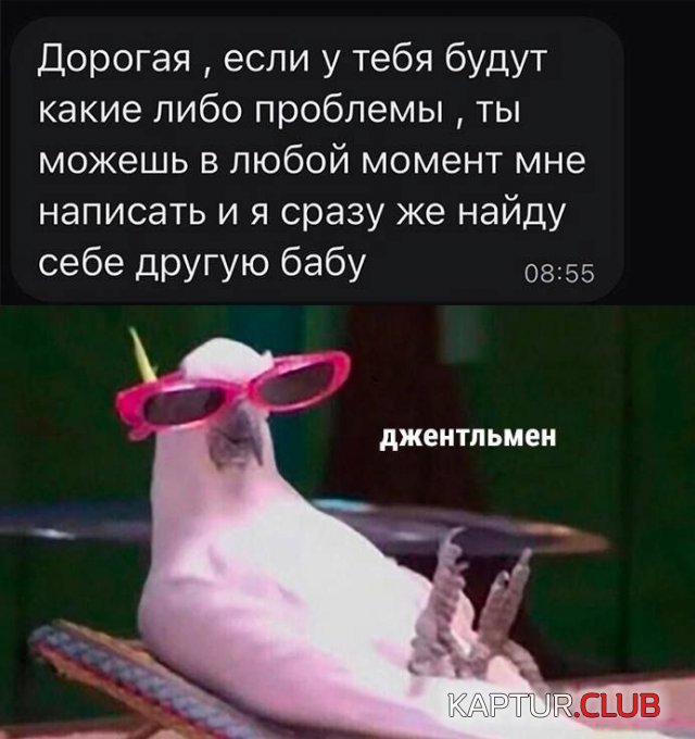 1689667295_239854_6_trinixy_ru.jpg | Рено Каптур Клуб Россия | Форум KAPTUR.SU