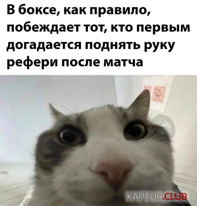 1690361987_240107_30_trinixy_ru.jpg | Рено Каптур Клуб Россия | Форум KAPTUR.SU