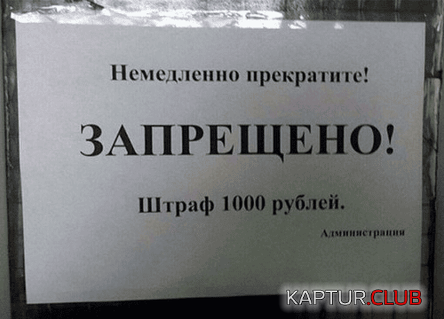 1691052575_240282_1_trinixy_ru.png | Рено Каптур Клуб Россия | Форум KAPTUR.SU