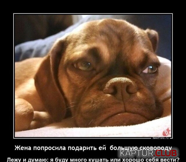 1691058529_1688974728_demotivatory-16.jpg | Рено Каптур Клуб Россия | Форум KAPTUR.SU