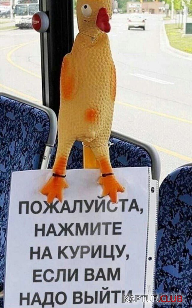 1692447983_240805_12_trinixy_ru.jpg | Рено Каптур Клуб Россия | Форум KAPTUR.SU
