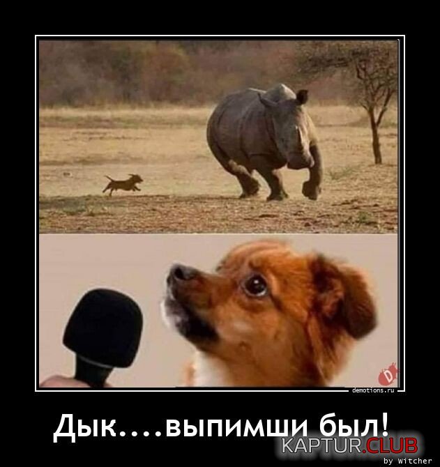 1693989110_1691997758_demotivatory-2.jpg | Рено Каптур Клуб Россия | Форум KAPTUR.SU