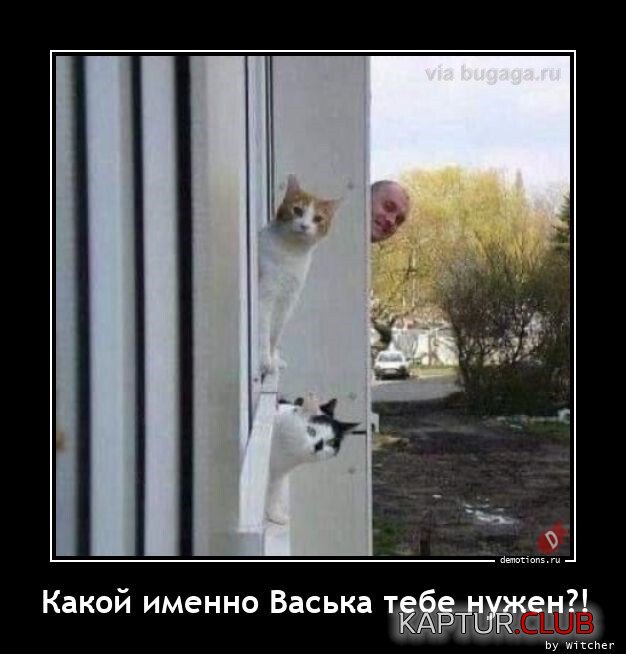 1694345253_1692604259_demotivatory-15.jpg | Рено Каптур Клуб Россия | Форум KAPTUR.SU
