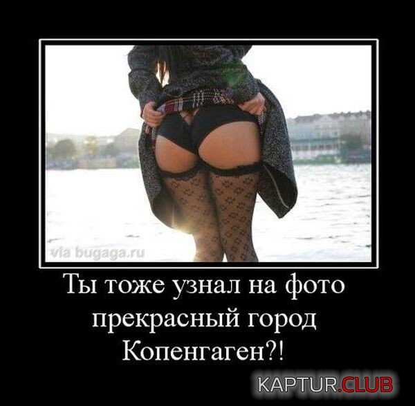 1694345255_demotivatory-dlja-vzroslyh-9.jpg | Рено Каптур Клуб Россия | Форум KAPTUR.SU