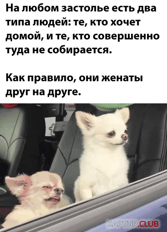 1694502937_241569_1_trinixy_ru.jpg | Рено Каптур Клуб Россия | Форум KAPTUR.SU