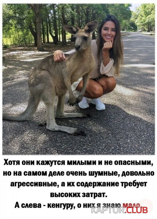 1694505686_241576_1_trinixy_ru.jpg | Рено Каптур Клуб Россия | Форум KAPTUR.SU