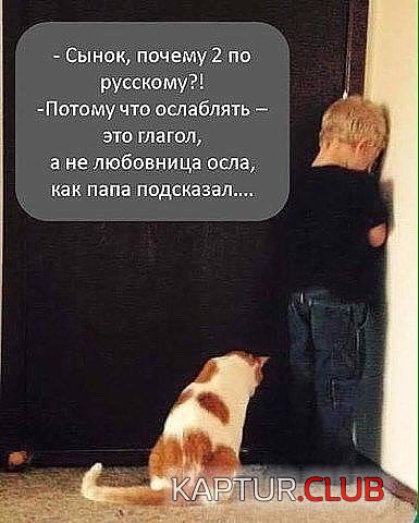 169475587.p.500.500.0.jpg | Рено Каптур Клуб Россия | Форум KAPTUR.SU