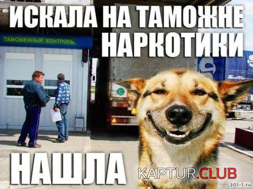 169552735.p.500.500.0.jpg | Рено Каптур Клуб Россия | Форум KAPTUR.SU